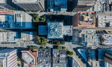 Pressure Cooker Workshop | Designing More-Than-Human Cities